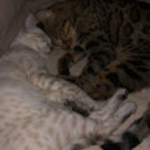 Meet your Posher, Tracey